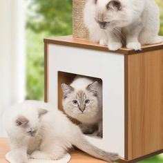 Vesper Cat Furniture Cat Playground Diy, Cat Furniture Ideas, Hiding Cat Litter Box, Modern Cat Furniture, Cat Towers, Cat Playground, Cats Furniture, Inexpensive Furniture