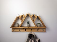 a wooden shelf with two potted plants on it and three hooks hanging from the wall