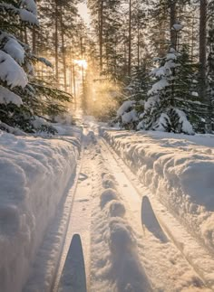 the sun is shining through the trees in the snow