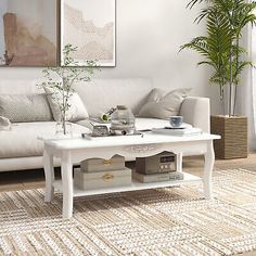 a living room with a white couch, coffee table and potted plant in it