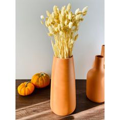 two vases with dried flowers in them on a wooden table next to pumpkins