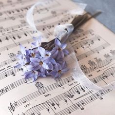 some purple flowers are laying on top of sheet music