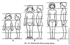 the body is divided into three sections, and there are four different parts labeled in each section