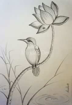 a drawing of a bird sitting on top of a tree branch next to a flower