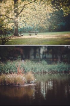 two different shots of a park bench and pond