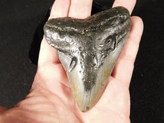 a hand holding a rock shaped like an alligator's head in front of a black background