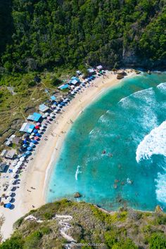 an aerial view of a beach with people swimming in the water and trees surrounding it