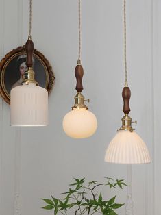 three light fixtures hanging from the ceiling above a table with a potted plant on it