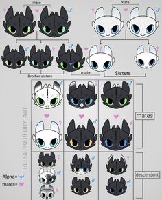 the different types of cats with their eyes and hair color variations are shown in this diagram