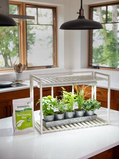 a kitchen counter with some plants in pots on it and two lights hanging from the ceiling