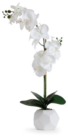 a white vase with flowers in it sitting on a table