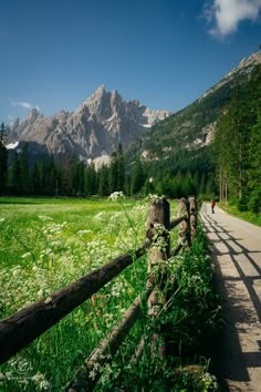 a wooden fence on the side of a dirt road near grass and trees with mountains in the background