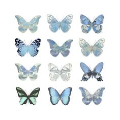 Butterfly Study in Blue I Poster Print by Julia Bosco-VARPDXJBC113348 Image 1 Blue Ipad Layout, Disney Wallpaper For Iphone, Paintings For Room, Butterfly Study, Earth Tone Aesthetic, College Prints, Butterfly Blanket, Blue Ipad, Butterfly Cake Topper