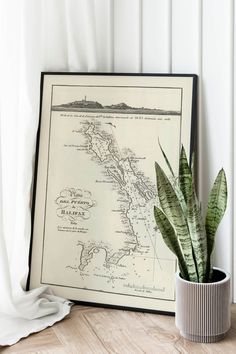 Nautical Chart of the Port of Halifax 1818| Old Map Wall Decor - MAIA HOMES Map Wall Decor, Nautical Chart, Cardboard Tubes, Map Wall, Old Map, Pigment Ink, Cotton Canvas, Canvas Fabric, Print Design