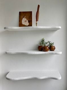 two white shelves with some plants on them