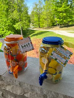 two glass jars filled with oranges and lemons sitting on a ledge next to trees