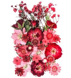 a bunch of flowers that are on a white surface with red and pink flowers in the middle