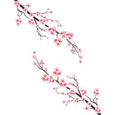 Cherry Blossom Tattoo Shoulder, Cherry Tree Tattoos, Sakura Watercolor, Blossom Tree Tattoo, Flower Japanese, Easy Acrylic Painting Ideas