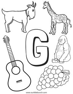 the letter g is for giraffe, grapes and an animal with its name