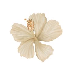 a white flower on a white background