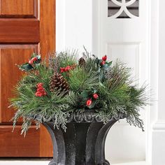 a potted plant with pine cones and berries