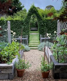 an outdoor garden with various plants and flowers