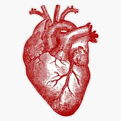 the human heart sticker is shown in red and black ink on a white background