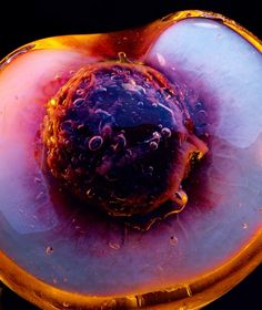 the inside of an orange and purple flower with water droplets on it's petals