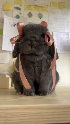 a small rabbit wearing a pink ribbon around its head