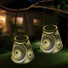 two lights hanging from a tree branch in the night time with green grass behind them