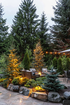 A guide on creating a privacy landscape using conifer plants for added greenery and seclusion in your outdoor space. Tree Filled Backyard, Landscape Ideas Trees, Forest Backyard Landscaping, Evergreen Backyard Landscaping, Calgary Landscaping Ideas, Tree Island Landscaping, Zone 3 Landscaping Front Yards, Outdoor Patio Landscaping Ideas, Pnw Landscape Design