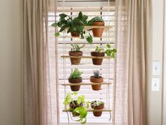 several potted plants are hanging on a window sill in front of the curtains