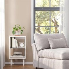 a living room with a couch, bookshelf and window in front of it