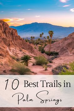 palm trees in the desert with text overlay that reads 10 best trails in palm springs