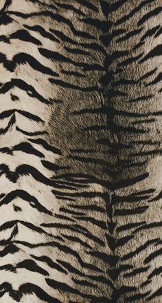 an animal print pattern with black and white stripes on the back of it's fur