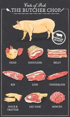 Cuts of pork diagram part of pork cut of meat set. Poster Butcher diagram vintage typographic handdrawn Vector illustration on black Pork Cuts Of Meat, Pork Cuts Diagram, Meat Cuts Poster, Pig Reference, Pork Parts, Butcher Diagram, Pig Facts, Meat Butcher, Pig Logo