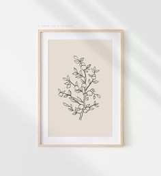 a black and white drawing of a plant in a frame on the wall above it