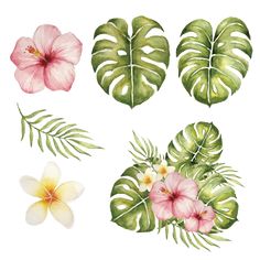 four different types of tropical leaves and flowers on a white background, each with one pink flower