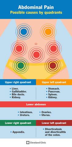 Abdominal pain has many causes, some more serious than others. Discover for youself what could be causing you abdominal pain below: Lower Abdominal Pain, Abdominal Pain Relief, My Stomach Hurts, Bile Duct, Type Treatments, Lower Abdomen, Irritable Bowel, Stomach Ache