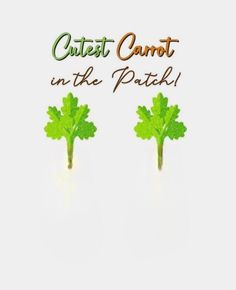 two green leafy plants with the words cutest carrot in the patch