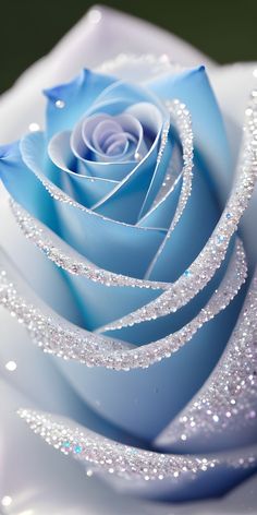 a close up view of the center of a blue rose