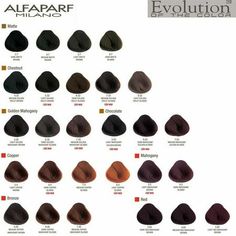 The Alfaparf Milano Evolution of the Hair Color Dye Haircolor Cube is the ultimate solution for anyone looking to achieve flawless color results with long-lasting vibrancy. This updated hair color line offers a complete range of natural and sophisticated shades that are sure to suit any style or preference.The vegan formula is enhanced with PATENTED COLOR GUARD TECHNOLOGY, ensuring that your hair color stays true and vibrant for longer. This comprehensive color protection system not only guarant Light Mahogany Hair Color, 1b Hair Color, Clairol Natural, Clairol Natural Instincts, Medium Ash Blonde, Violet Brown, Chestnut Hair Color, Professional Hair Color, Dyed Red Hair