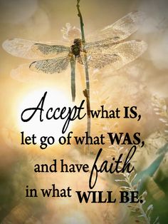 a dragonfly sitting on top of a plant with the quote accept what is, let go of what was, and have faith in what will be