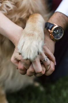 a close up of two people holding their hands with a dog's paw in the air