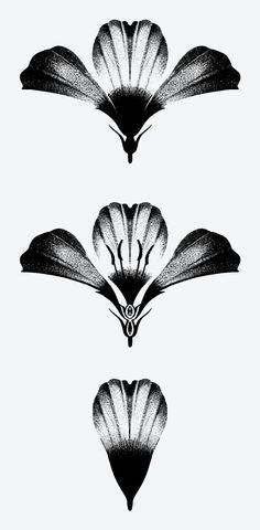 three black and white images of flowers