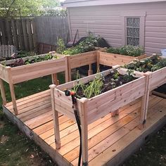 several wooden raised garden beds with plants in them on a backyard deck next to a shed