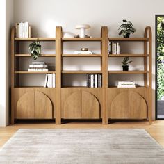 a living room with a book shelf and rug