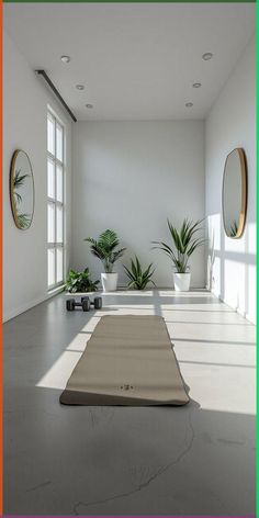 there is a yoga mat in the middle of this room with potted plants and mirrors