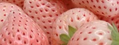 a close up view of strawberries with green leaves