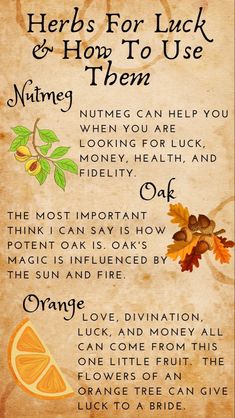 Witches Plants, Herbs For Luck, Magick Herbs, Fire Fly, Lucky Plant